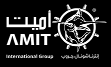 AMIT Logo